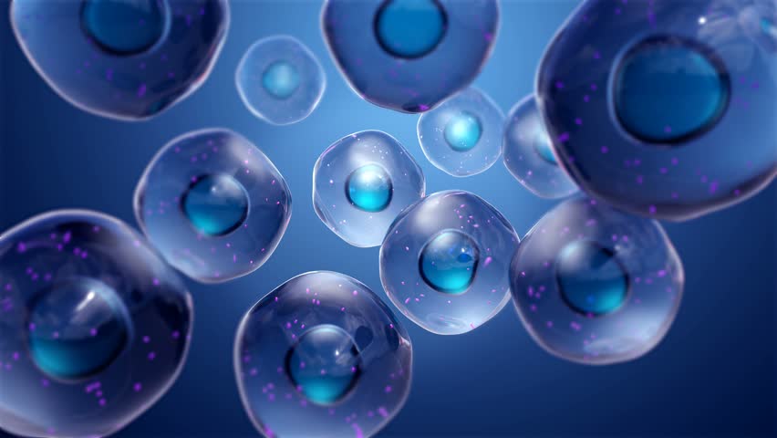 healthy cells with mitochondria Royalty-Free Stock Footage #1027515125