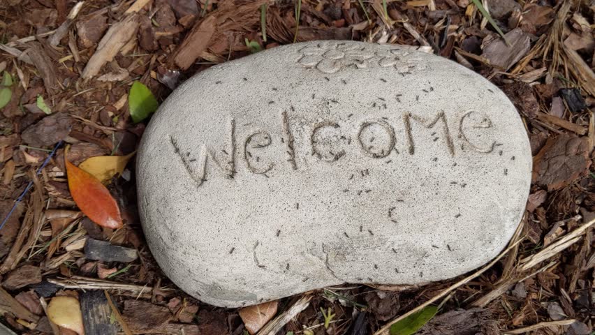 Carved welcome stone covered with small sugar ants swarming