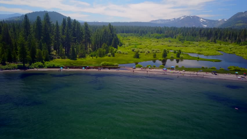 Forest on a Beach landscape in Lake Tahoe, Nevada image - Free stock ...