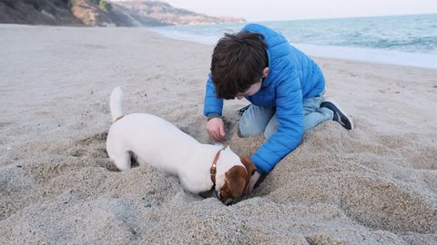 Happy, smiling boy his dog Jack Russell Terrier breed on the beach and digging hole in sand where a bone is buried against the backdrop of sea waves and a blue sky. Family weekend. Pet walk. Lifestyle