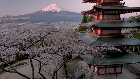 Landscape that symbolizes Japan. Mt. Fuji with Chureito Pagoda in the spring with cherry blossoms at Morning burn, Yamanashi Prefecture, Fujiyoshida, Japan
