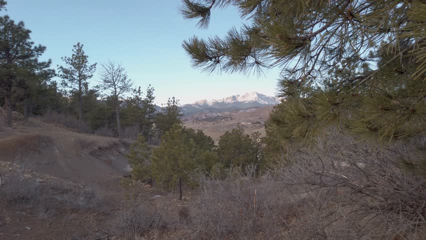 Morning light hitting pikes peak in Colorado Springs, Colorado in El Paso County. Shot from behind a Ponderosa tree