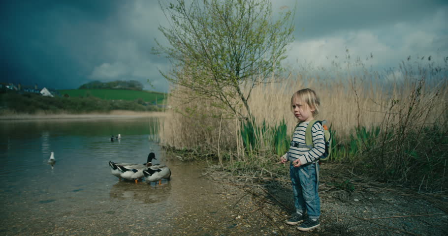 A little toddler is standing by a pond and is looking at the ducks