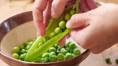 fresh green peas, shell the peas from pod. healthy vegetable food from organic agriculture. : film stockowy