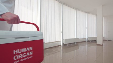 Courier with red human organ trafficking container goes along the corridor at the hospital | Deliver human organ for transplant.