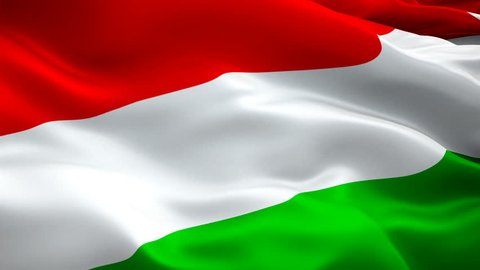 Hungarian flag waving in wind video footage Full HD. Realistic Hungarian Flag background. Hungary Flag Looping Closeup 1080p Full HD 1920X1080 footage. Hungary EU European country flags Full HD