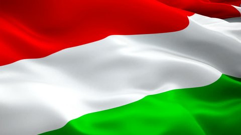 Hungary flag video waving in wind. Realistic Hungarian Flag background. Budapest Hungary Flag Looping Closeup 1080p Full HD 1920X1080 footage. Hungary EU European country flags/ Hungary Hungarian Flag