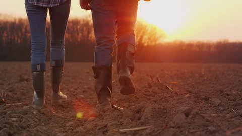 Legs of two farmers in rubber boots walking along a plowed field at sunset