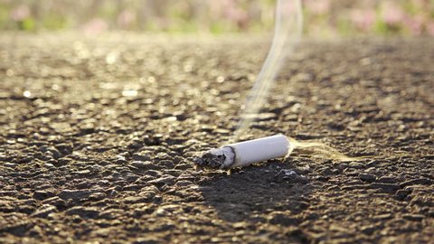 lit tobacco on the road स्टॉक वीडियो