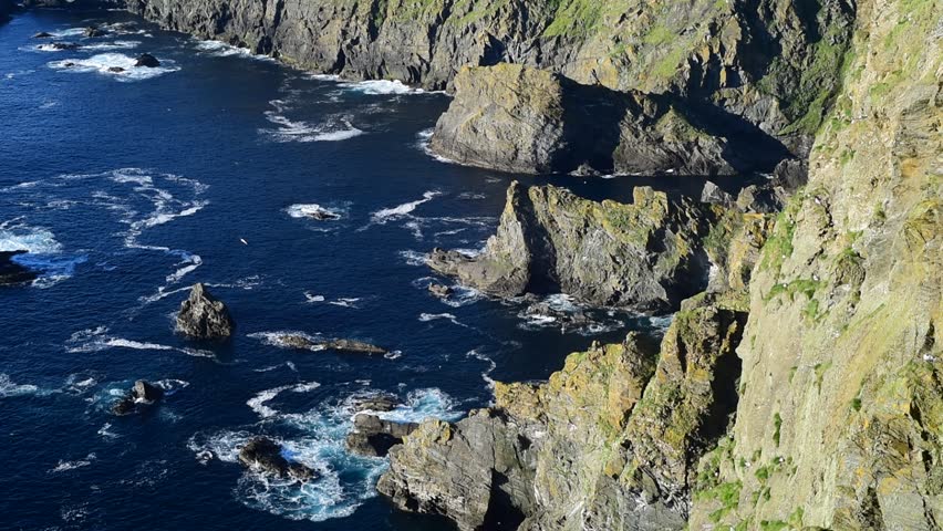Spectacular coastline with sea cliffs and stacks, home to breeding sea birds at Hermaness, Unst, Shetland Islands, Scotland, UK Royalty-Free Stock Footage #1027639370