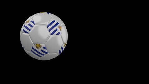 Soccer ball with the flag of Uruguay flies past the camera, slow motion, 4k footage with alpha channel