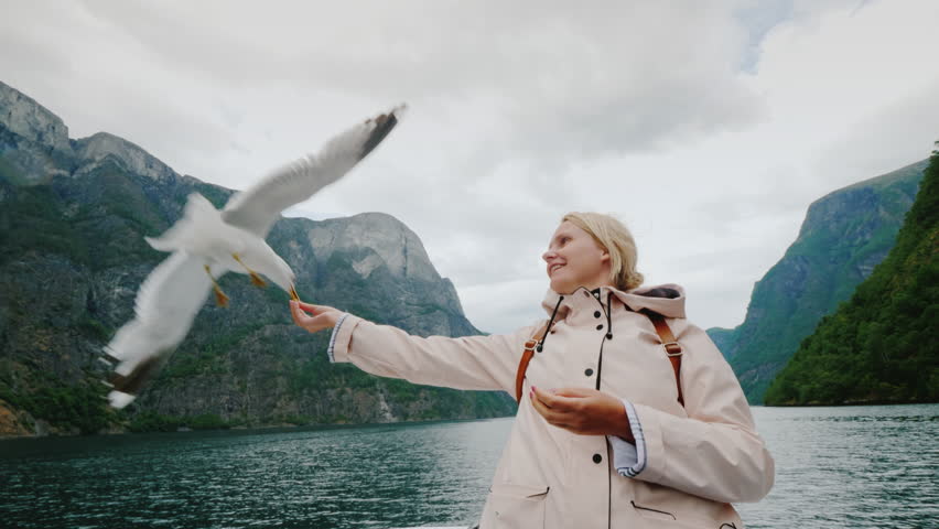 A seagull eats bread from the hands of a woman against the backdrop of the picturesque fjords of Norway. Journey to Scandinavia and the amazing nature of the Nordic countries Royalty-Free Stock Footage #1027648613