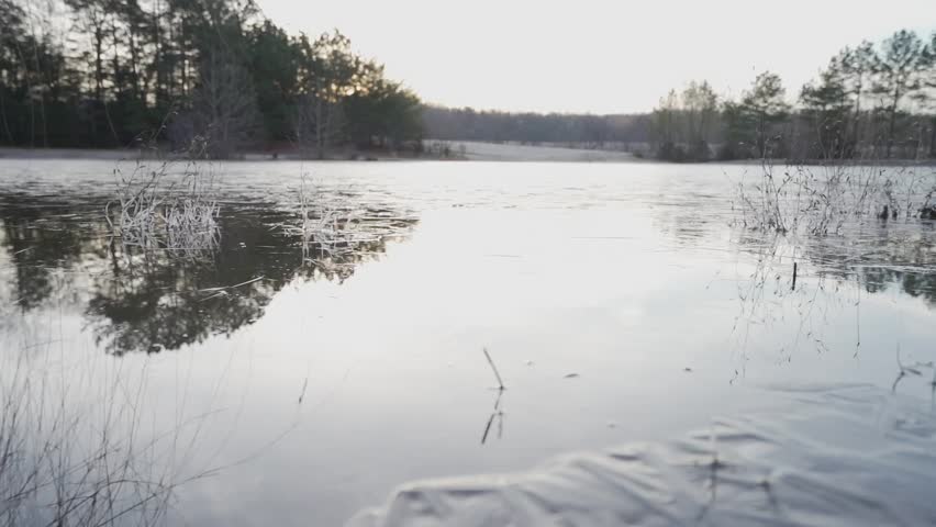 An ice covered pond just after sunrise.