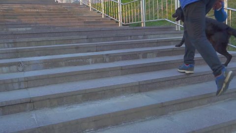 Young man running with his dog on stairs in city, super slow motion