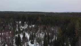 Aerial video flying over the woods in northern Sweden