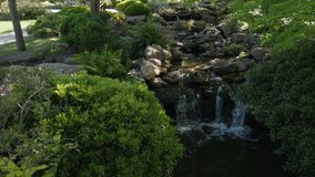 Calming stream in Japanese Garden