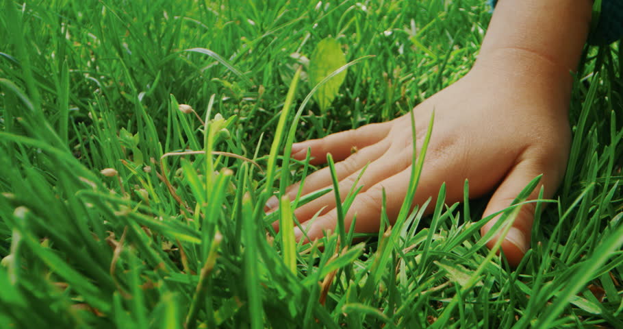 Touch the grass. Трогать траву. Touch grass. Руки детские в траве макро. Touch grass Мем.