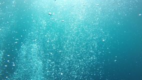 Air bubbles underwater video 