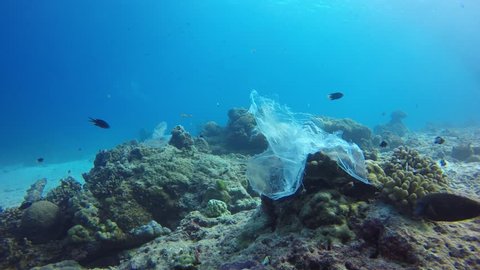 Plastic pollution problem in ocean. Bags, cups and straws discarded in sea and on coral reef 