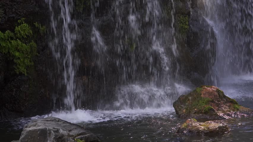 Japanese garden in Tokyo.