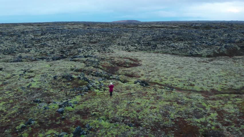 Woman standing in green lava fields in south Iceland aerial footage