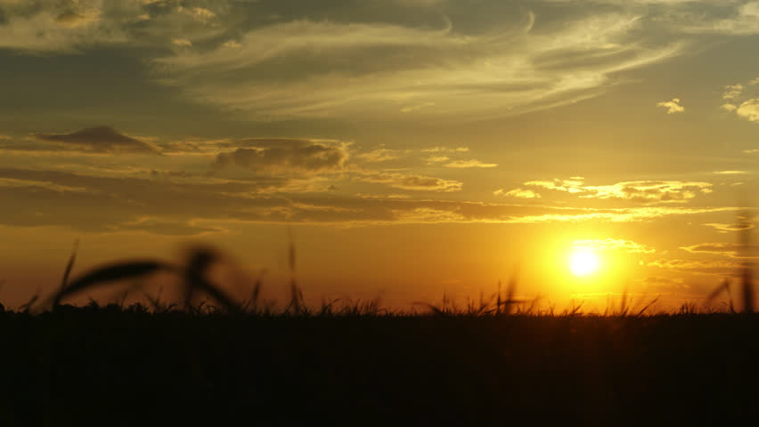 Time-lapse of a beautiful summer sunset | Shutterstock HD Video #10277147