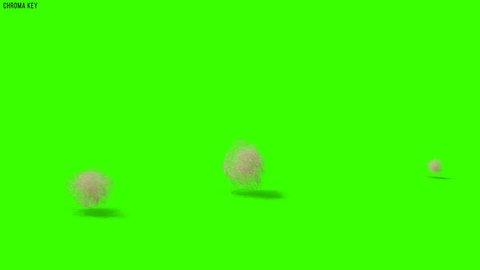 Tumbleweeds passing on a dessert 4k on chroma key green screen, matte and shadows