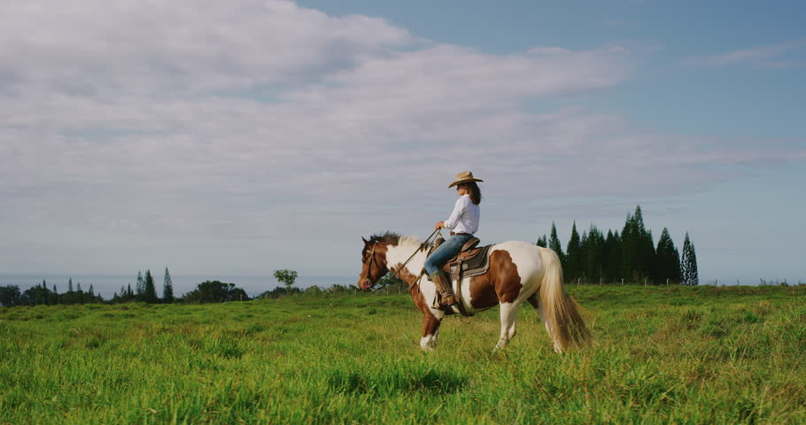 Ride Me Cowgirl