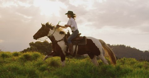 Amazing slow motion horseback riding at sunset, cowgirl riding fast through green fields