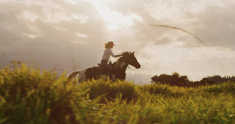 Amazing slow motion horseback riding at sunset, cowgirl riding fast through green fields, horse galloping
