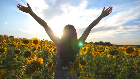 Unrecognizable beautiful girl standing on yellow sunflower field and raising hands. Happy woman enjoying freedom at the meadow. Concept of love to nature at sunset time. Slow motion Rear back view