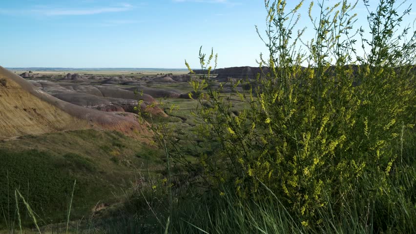 Left pan of the greenery amidst the desert in Badlands National Park, South Dakota