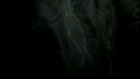 Close up for thick white smoke spreading over black background. Stock footage. Dense fog flying isolated in the dark. - Powered by Shutterstock - Get 15% off with code: PIKWIZARD15