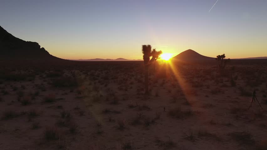 Bright orange sunrise sun flare over purple Mojave Desert with Joshua trees | Shutterstock HD Video #1027798352