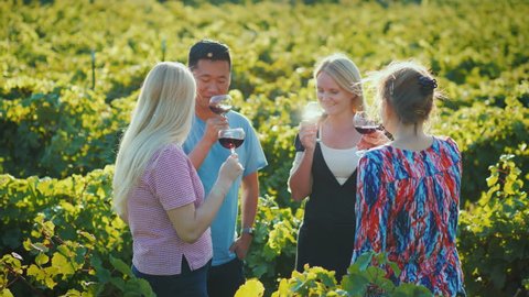 Multi-ethnic group of tourists tasting wine in the vineyard. Wine tour and a trip to the place of production of wine concept