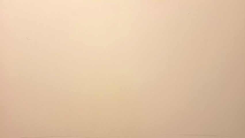 The process of drawing a cartoon tropical landscape - the sea with the sun, island and palm tree. Video clip.