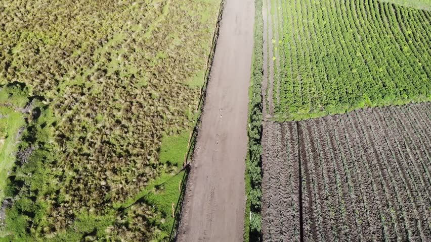 Overflight to agricultural fields in the highlands of the Andes, Cayambe, Ecuador