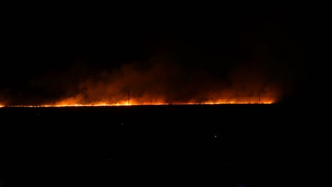 Fire In The Forest Skyline の動画素材 ロイヤリティフリー Shutterstock