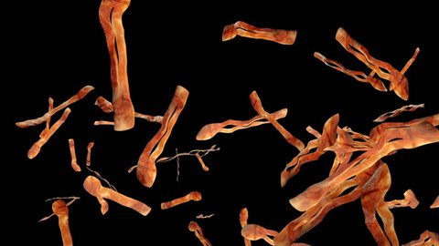 Fried bacon flying in slow motion against black