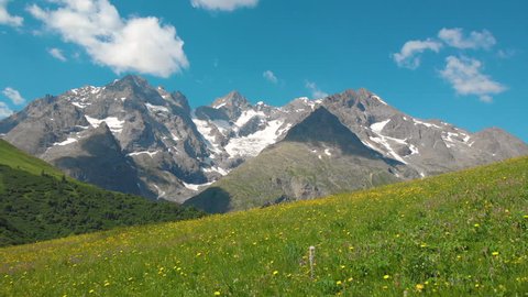 AERIAL: Flying over a beautiful blooming meadow full of yellow dandelions and grass. Stunning scenic view of snow covered mountain tops in the rocky French Alps below the clear blue summer skies.