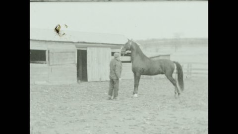 1940s Man Trains Horse They Stock Footage Video 100 Royalty Free 1027857425 Shutterstock