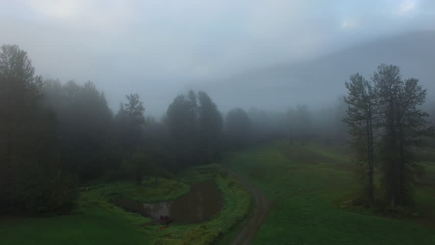 Aerial: Thick Fog Surrounding Forest and Mountains in Bella Coola, British Columbia