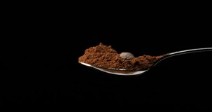 Nutmeg, myristica fragans, Nut falling on Powder against Black Background, Slow Motion 4K