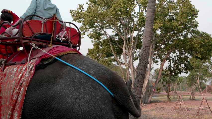 Another popular activity is riding on elephant back in Ayutthaya Historical Park