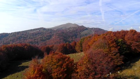 Aerial shot of colorful autumn forest. Monte maggiore, Italy in background.