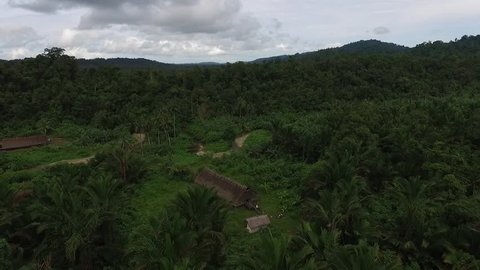 forest, river and traditional house in mentawai island, west sumatra, indonesia