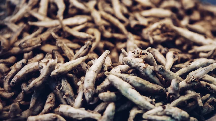 Footage of delicious fryed anchovy fish on metal plate in seafood restaurant on Mediterranean sea coast in Italy. Tasty little fishes cooked in street cafe