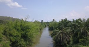 Forward drone motion above a wild rural river with dense tropical overgrowth on both banks and green brown murky water with a blue cloudy sky and bright sunlight