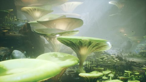 Fantasy mushrooms in a magic forest. Beautiful magic mushrooms in the lost forest and fireflies on the background with the fog.