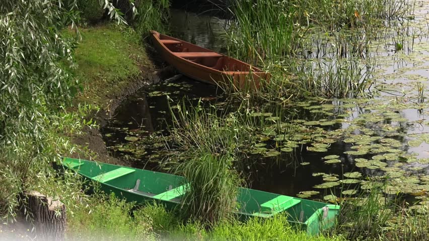 Old wooden boats on the river bank. Two old wooden fishing boats near the river bank. River landscape in the summer with two wooden boats near the river bank next to the bush
